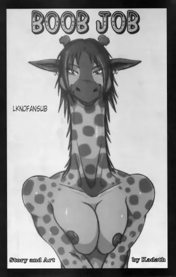 [Kadath] Boob Job [Spanish] [LKNOFansub] manga cover