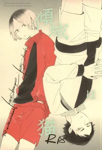 (SPARK10) [spinner (Ishigami Nie)] Keisei wa Neko (Haikyuu!!) manga cover