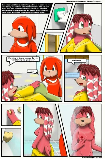 [Kitsune Youaki] Knuckles and Lara-Le's Shower (Sonic The Hedgehog) manga cover