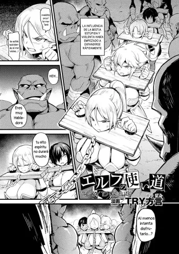 [TRY Hougen] Elf no Tsukaimichi | The Way to Use Elves (Bessatsu Comic Unreal Ningen Bokujou Hen Vol. 7) [Digital] [Spanish] manga cover