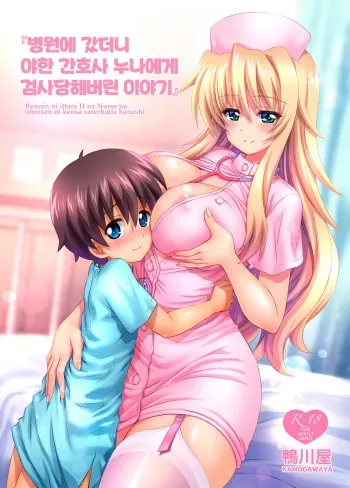 [Kamogawaya (Kamogawa Tanuki)] Byouin ni Ittara Ecchi na Nurse no Onee-san ni Kensa sarechatta Hanashi [Korean] [Digital] manga cover