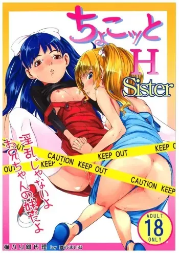 (C71) [Neko iri bako dairi (Maimu-Maimu)] Chokotto H Sister (Chokotto Sister) manga cover