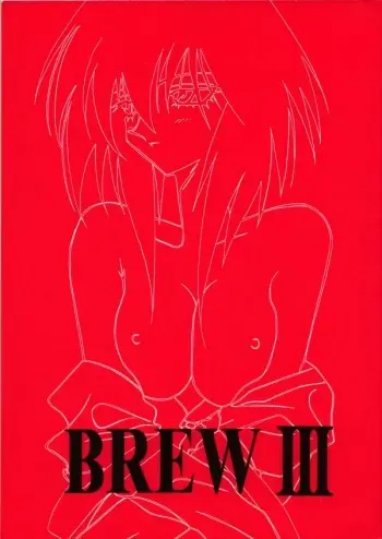 (C54) [Iwasaki Seihonsho (Iwasaki Akira)] Brew III (Outlaw Star) manga cover