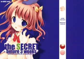 (C78) [MAPLER (Maple)] the SECRET -before 3 weeks- Copyshi manga cover