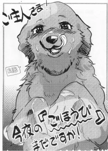 (Kemoket 12)[Kon Juuichibai (Momou)]Goshujin-sama! Konya wa no "Gohoubi" Madadesuga! manga cover