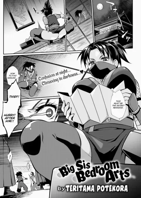 Big Sis Bedroom Arts manga cover