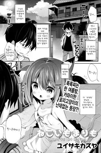 [Yuizaki Kazuya] Neko Imo Marimo - Immortal Cat Marimo (COMIC Potpourri Club 2014-08) [Korean] manga cover