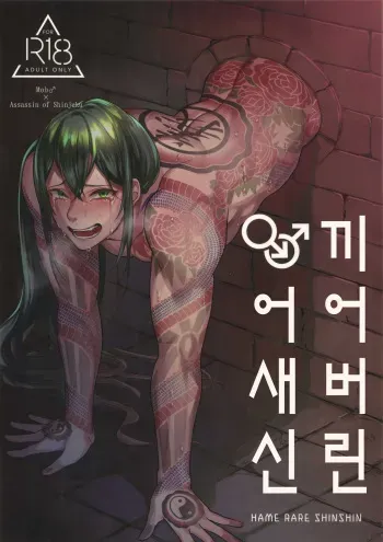(Dai 20-ji ROOT4to5) [XXkorori (Ko Tora)] HAME RARE SHINSHIN | 끼어버린 어새신 (Fate/Grand Order) [Korean] manga cover