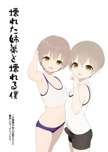 Broken Brother and Broken Me [Japanese] manga cover