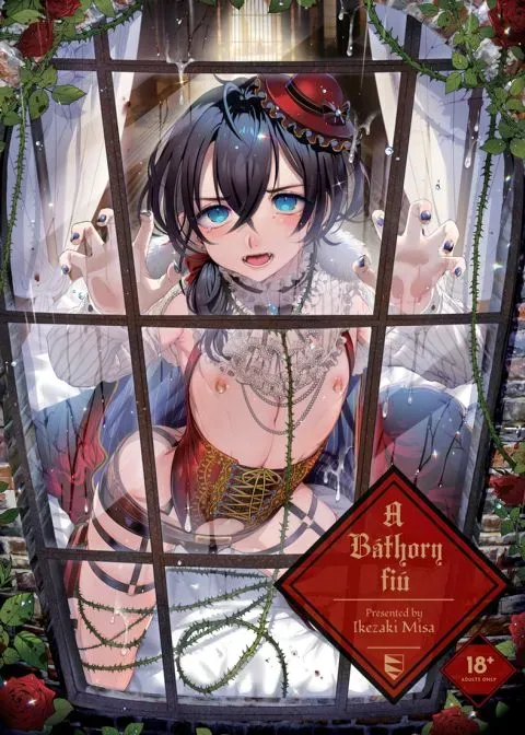 A Báthory fiú manga cover
