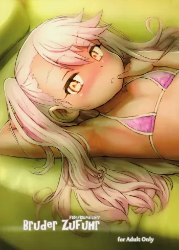 Bruder Zufuhr manga cover