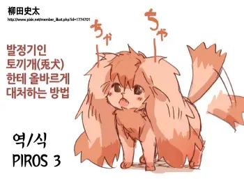 [Yanagida Fumita] Hatsujouki no usagiinu ☆Tadashii taishohou☆ | 발정기인 토끼개한테 올바르게 대처하는 방법 [Korean] [PIROS 3] manga cover