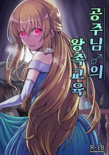 [Youkandou (Youkan)] Ohime-sama ♂ no Ouzoku Kyouiku | 공주님♂의 왕족교육 [Korean] [Digital] manga cover
