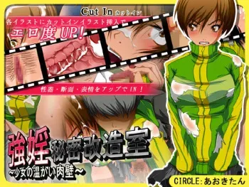 [Aoki-tan] Gouin Himitsu Kaizoushitsu ～Shoujo no Atatakai Nikukabe～ (Persona 4) manga cover