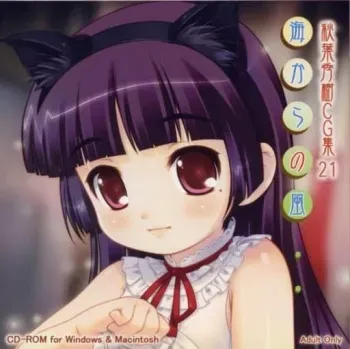 [Funifuniya (Akiba Hideki)] Umi kara no Kaze Akiba Hideki CG-Shuu 21 (Various) manga cover