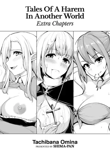 Tales of a Harem in Another World - Volume 1.5 manga cover