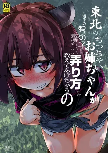 Tohoku no Chicchai Onee-chan ga Maigo no Otokonoko ni Kimochi Ii Ijirikata toka Oshiete Agechau no | The small Touhoku onee-chan teaches a lost kid about things that feel good manga cover
