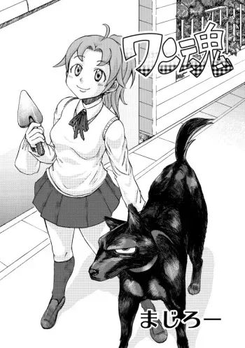 [Nihon Denga Senmon Gakkou] Juukan Senka - Dai 4ki - Aiaru Jiaowei manga cover