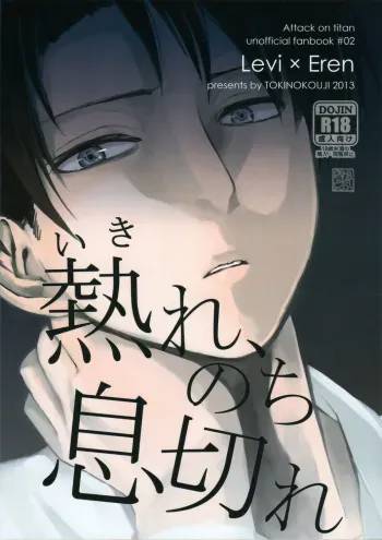 Ikire, nochi Ikigire II manga cover
