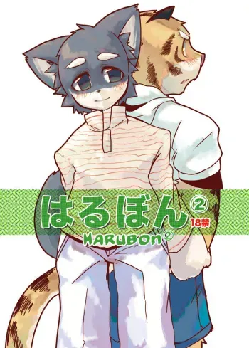 (C69) [Harugoya (Harusuke)] Harubon 2 [English] [Dragon Ranger] [Decensored] manga cover