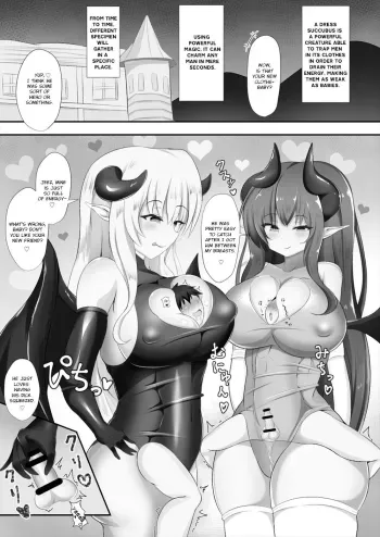 Succubus Goudoushi manga cover