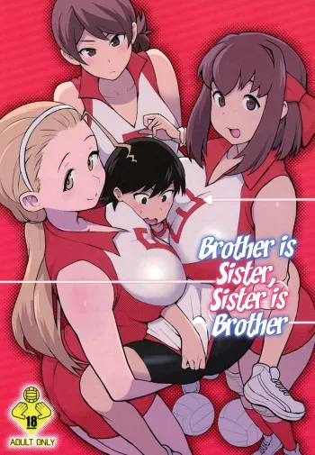 Ani ga Watashi de Watashi ga Ani de | Brother is Sister, Sister is Brother manga cover