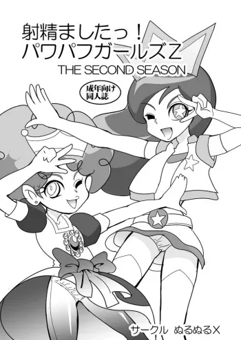 (C73) [Nurunuru X (Yamada Hitori)] Demashita! Powerpuff Girls Z The Second Season (Powerpuff Girls Z) manga cover
