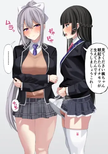 [Ryou] Futanari Tsukino Mito x Higuchi Kaede (Tsukino Mito, Higuchi Kaede) manga cover