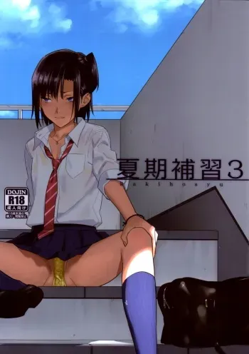 (C85) [Hito no Fundoshi (Yukiyoshi Mamizu)] Kaki Hoshuu 3 [English] [fmko] manga cover