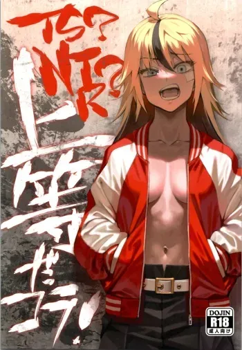 (C99) [Dokudami (Okita Ababa)] TS? NTR? It ’s fine! manga cover
