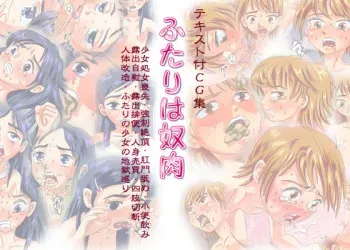 [Blue Blood] Futari wa Yatsu Niku (Pretty Cure) manga cover
