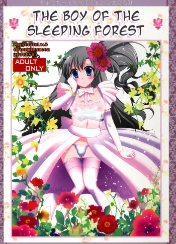 (C78) [chocolate Lv.5 (Dynamite moca)] Nemureru Mori no Otokonoko | The Boy of the Sleeping Forest [English] =SW= manga cover