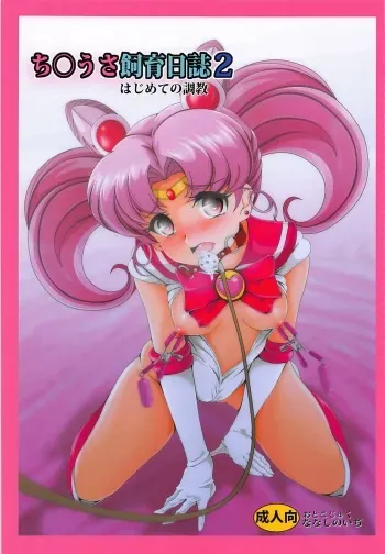 (C93) [Otokojuku (Nanashi Noizi)] Chibiusa Shiiku Nisshi 2 (Bishoujo Senshi Sailor Moon) manga cover