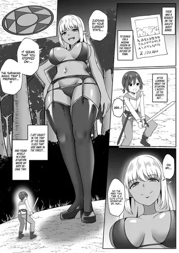 [I-Raf-you (Bullet)] The story about the time I was eaten by an Elf Onee-san (Microne Magazine Vol. 81) [English] [Digital] manga cover