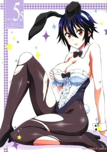 Nisenisekoi 5.5 manga cover