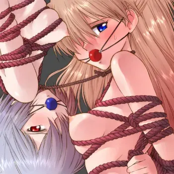 [Kikumaru himitsu energy kenkyuusho] Arashibari manga cover