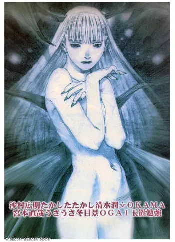 (C53) [Pornostar (Samura Hiroaki)] Succubus no Yoru | La Nuit de la Succube (Nureta Osanazuma) (Darkstalkers) [French] [A Secret Garden] manga cover