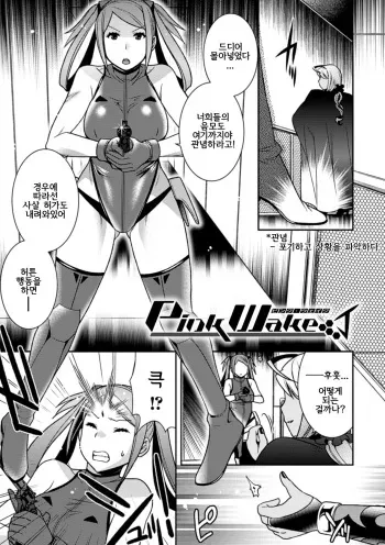 [Hinase Aya] Pink Wake (Seigi ga Iro ni Nomareta Hi) [Korean] [Digital] manga cover