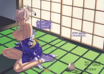 [Hito no Hundoshi (Yukiyoshi Mamizu)] Admired beautiful flower. 3 (Princess Lover!) [Korean] manga cover