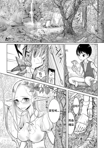 [Dhibi] Elf-mura Gikai Koushiki Sakusei Manual (2D Comic Magazine Ishukan Haramase Bakemono Seieki de Shikyuu o Mitasareru Onna-tachi Vol. 2) [Korean] [Digital] manga cover