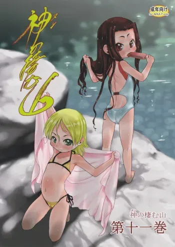 Nushi no Sumu Yama Vol. 11 manga cover