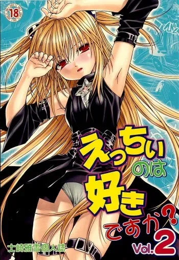 (C74) [Studio Wallaby (Shizaki Masayuki)] Ecchii no wa Suki Desu ka? 2 (To LOVE-Ru) manga cover