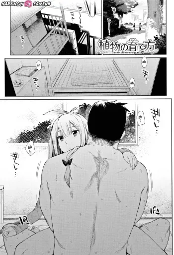[Mizone] Shokubutsu no Sodatekata | Como cultivar una planta [Spanish] [Decensored][Harenchi no Fansub] [Digital] manga cover