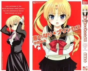 Iinari Princess manga cover