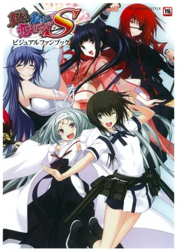 Maji de watashi ni Koi Shinasai S Visual Fanbook manga cover
