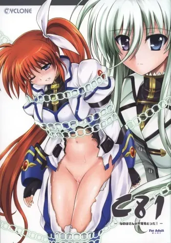 (C81) [Cyclone (Izumi, Reizei)] Nanoha-san ga Fukaku wo Totta! (Mahou Shoujo Lyrical Nanoha) manga cover