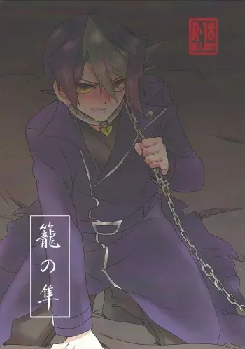(Sennen ☆ Battle in Fukuoka 5) [Chupakabura56 (Mezurasi Niko)] Kago no Hayabusa (Yu-Gi-Oh! ARC-V) manga cover