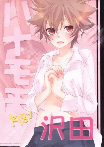 Hana Momo manga cover