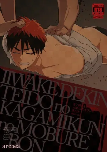 [archea (Sasagawa Nagaru)] Iiwakedekinai Teido no Kagamikun no Mobure Bon (Kuroko no Basuke) [Digital] manga cover