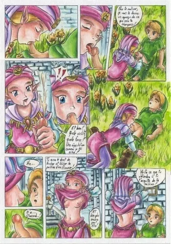 [Passage] Bad Zelda (The Legend of Zelda) [French] manga cover